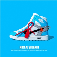 کاور ایرپاد Nike Air Jordan