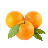 پرتقال شمال درجه یک 1 کیلوگرمی