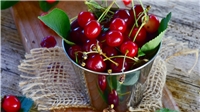همه چیز درباره آلبالو و موارد مصرف و منع آن